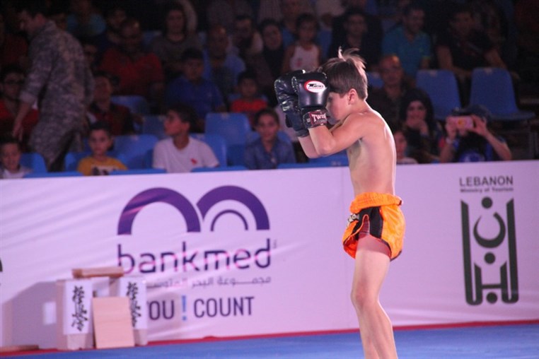 Martial Arts Festival